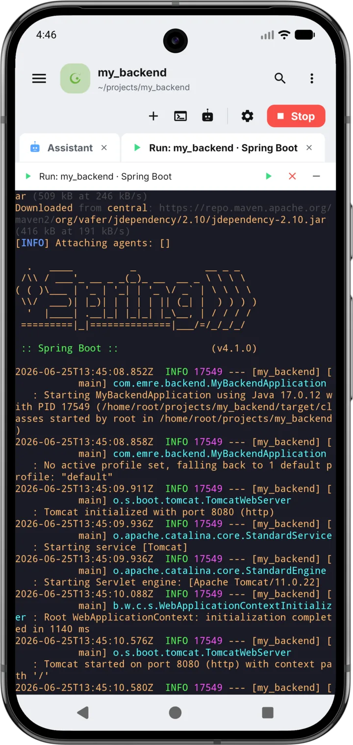 A Spring Boot backend starting up in the Derle terminal
