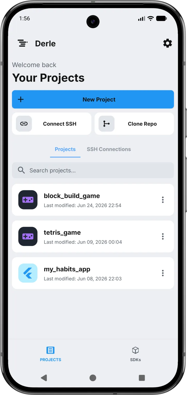 The Derle project list in the light theme