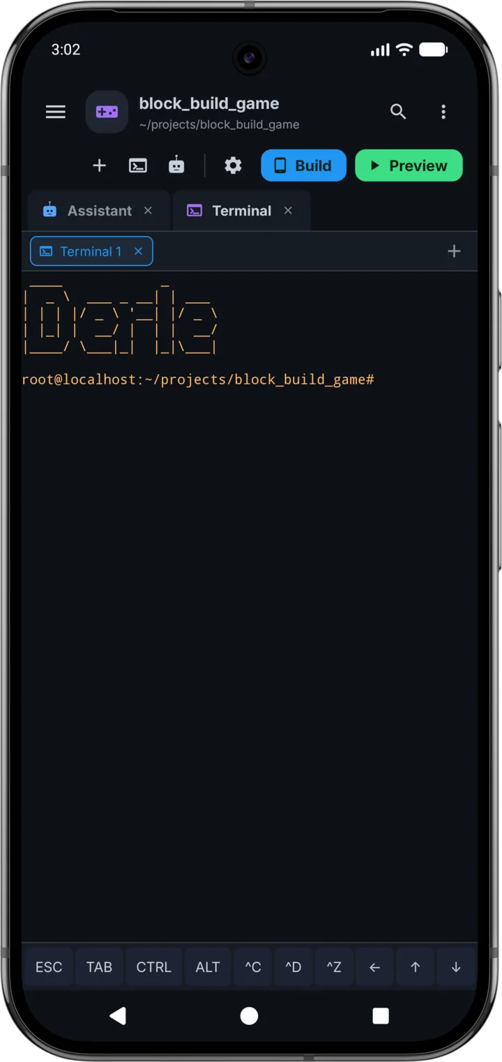 The Derle Linux terminal at a shell prompt